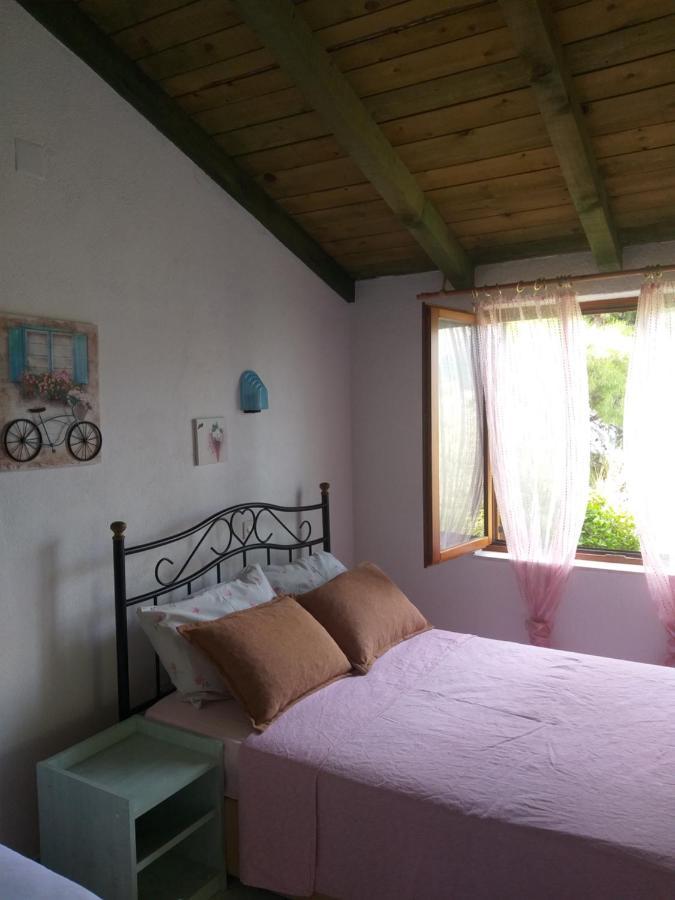 Apartamento Direkt Na Moru - Bungalov Šibenik Exterior foto