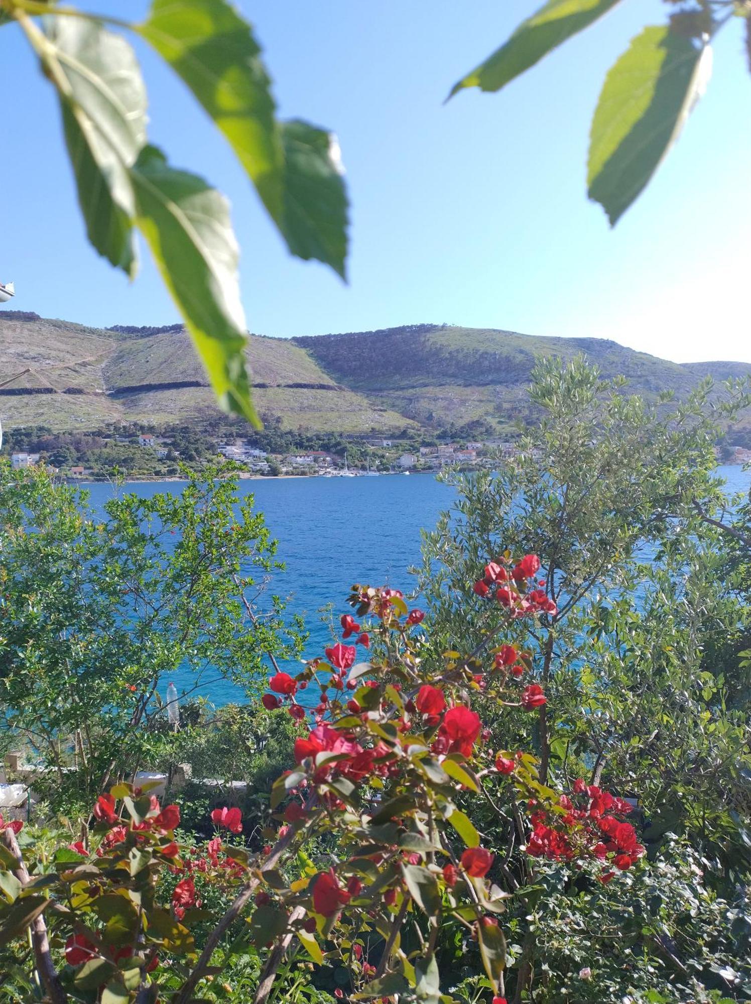 Apartamento Direkt Na Moru - Bungalov Šibenik Exterior foto